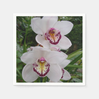 White Orchids Beautiful Tropical Flowers Napkin