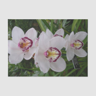White Orchids Beautiful Tropical Flowers Tissue Paper