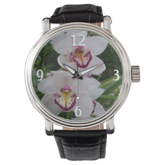 White Orchids Beautiful Tropical Flowers Watch