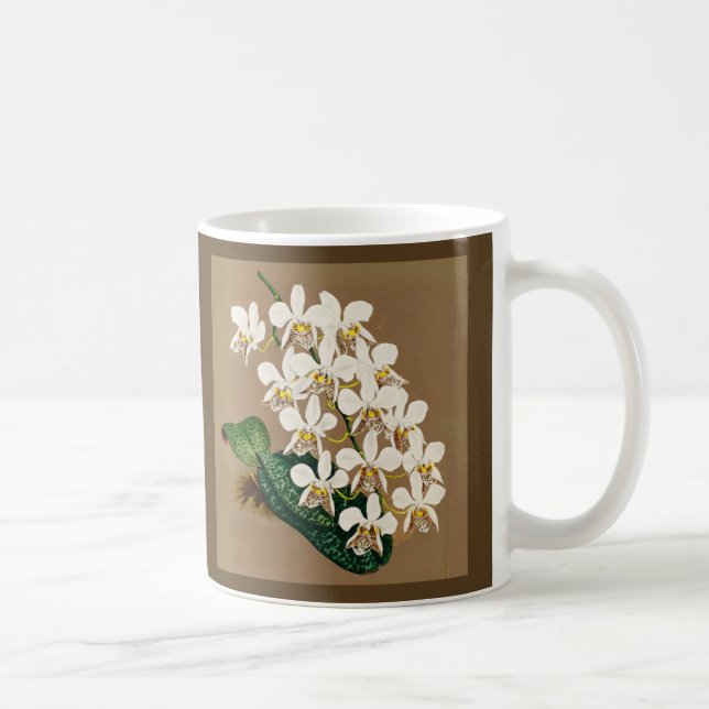 White Orchids Botanical Print, Tan Background Coffee Mug (Right)