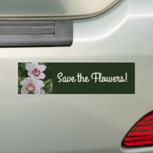 White Orchids Bumper Sticker