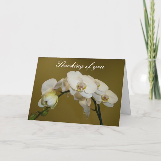 White Orchids Card (Front)