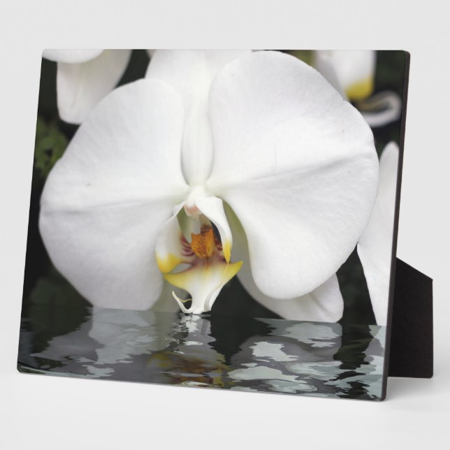 White Orchids Emerging Tabletop Plaque and Easel (Side)