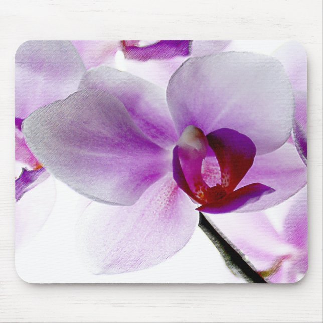 White Orchids Mouse Pad (Front)