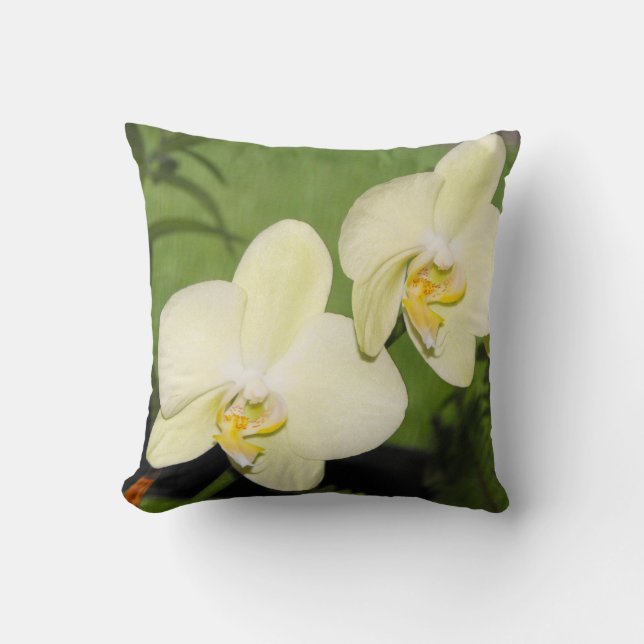 White Orchids on a green background Cushion (Front)