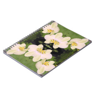 White Orchids on a green background Notebook