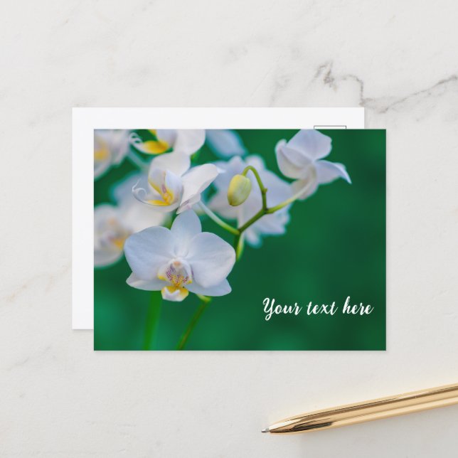 White Orchids on Green Postcard (Front/Back In Situ)