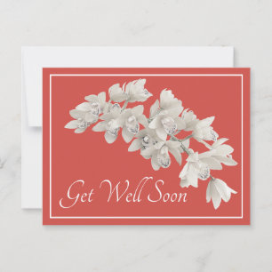 White Orchids Orange Background Get Well Soon Postcard