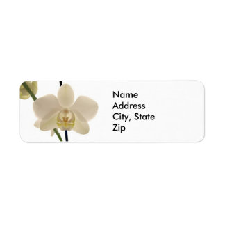 white orchids return address label