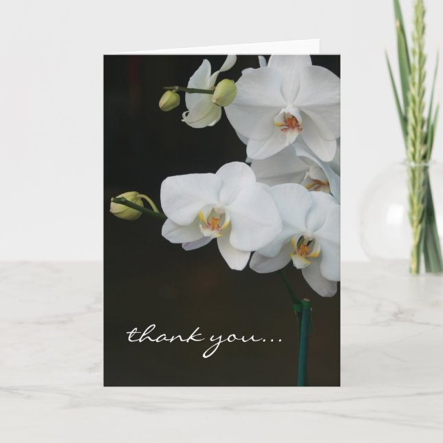 White Orchids Thank You Card (Front)