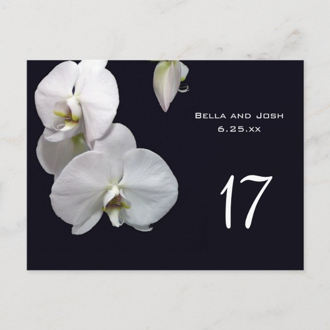 White Orchids Wedding Table Card Postca (Front)