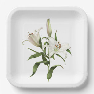 White Oriental Lily Botanical Art  Paper Plates