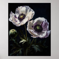 White Oriental Poppy Flowers Art Print Poster
