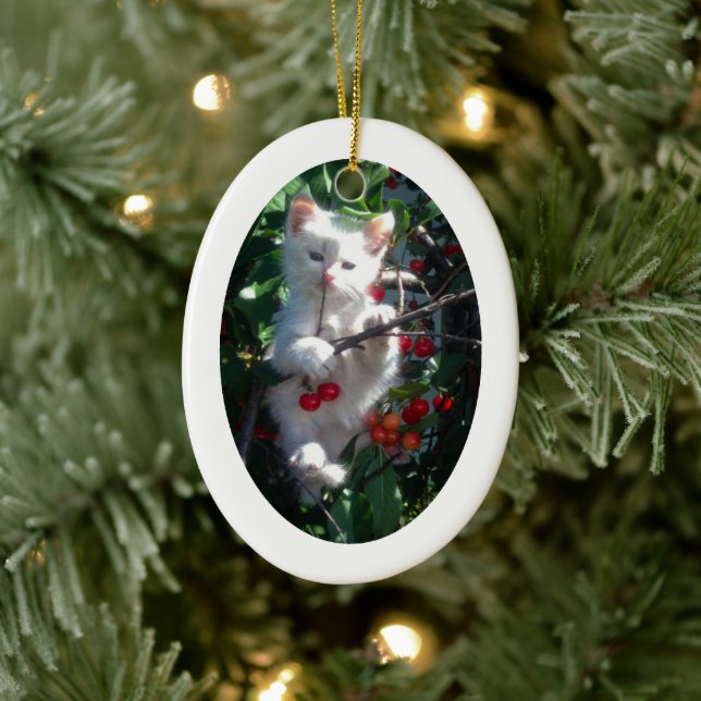 White Oval Shape Photo Frame Ceramic Tree Decoration (Tree)