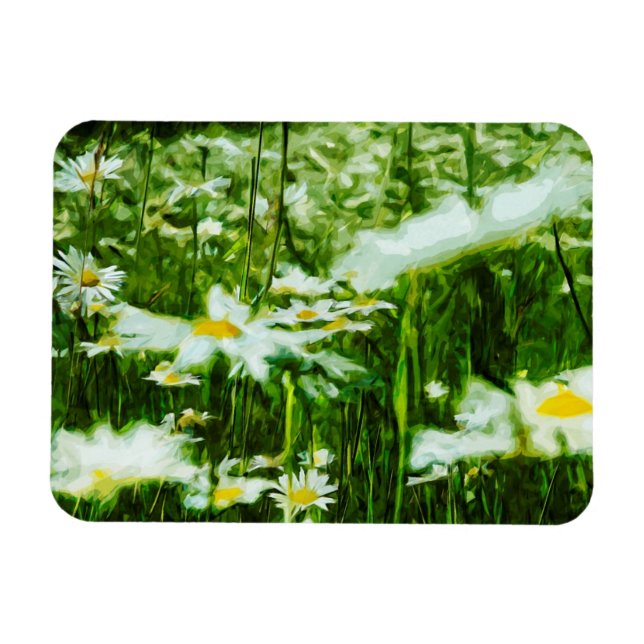 White Oxeye Daisy Abstract Floral Magnet (Horizontal)