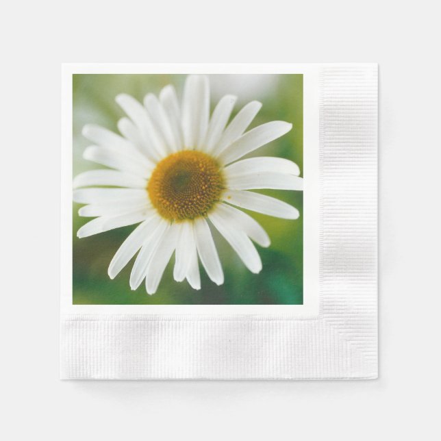 White Oxeye Daisy - Leucanthemum vulgare  Napkin (Front)