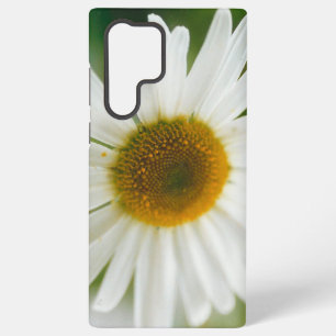 White Oxeye Daisy - Leucanthemum vulgare Samsung Galaxy Case