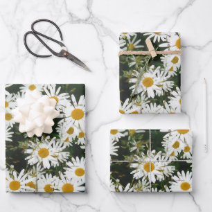 White Oxeye Daisy Meadow Wrapping Paper Sheet