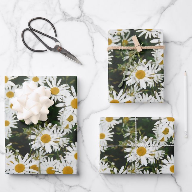White Oxeye Daisy Meadow Wrapping Paper Sheet (Front)