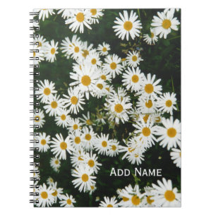 White Oxeye Daisy, Moon Daisy Meadow Personalized Notebook
