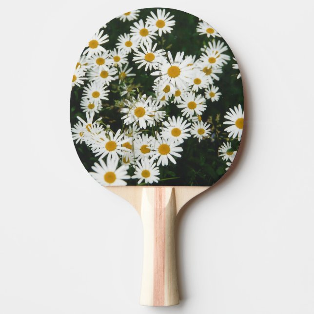 White Oxeye Daisy, Moon Daisy Meadow Ping Pong Paddle (Front)