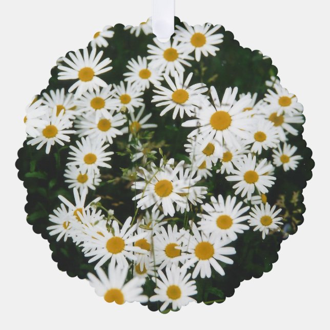 White Oxeye Daisy, Moon Daisy Meadow Tree Decoration Card (Front)