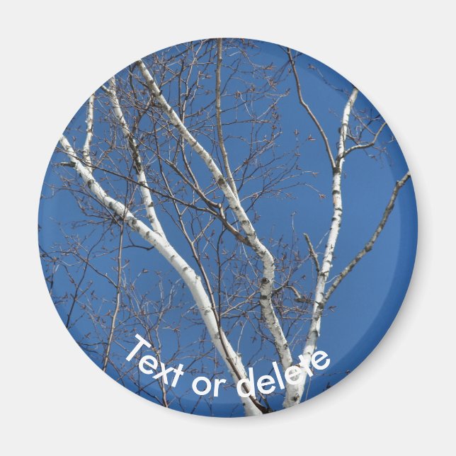 White Paper Birch Blue Sky Nature Personalized Magnet (Front)