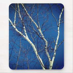 White Paper Birch Tree Blue Sky Nature  Mouse Pad