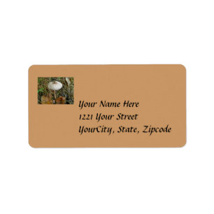 White Parasol Mushroom Address Label
