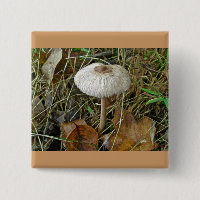 White Parasol Mushroom Coordinating Items