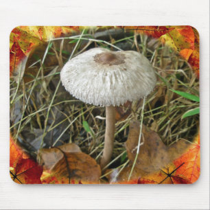 White Parasol Mushroom Coordinating Items Mouse Pad