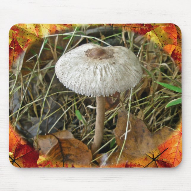 White Parasol Mushroom Coordinating Items Mouse Pad (Front)