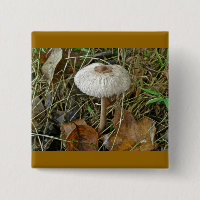 White Parasol Mushroom Magnet