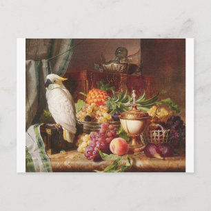 White Parrot exotic fruit bird cockatiel Postcard