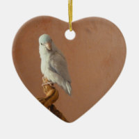 White Parrotlet