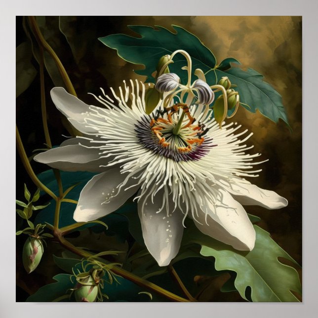 White Passion Flower Art Print Poster (Front)