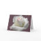 White Passion Rose Greeting Card