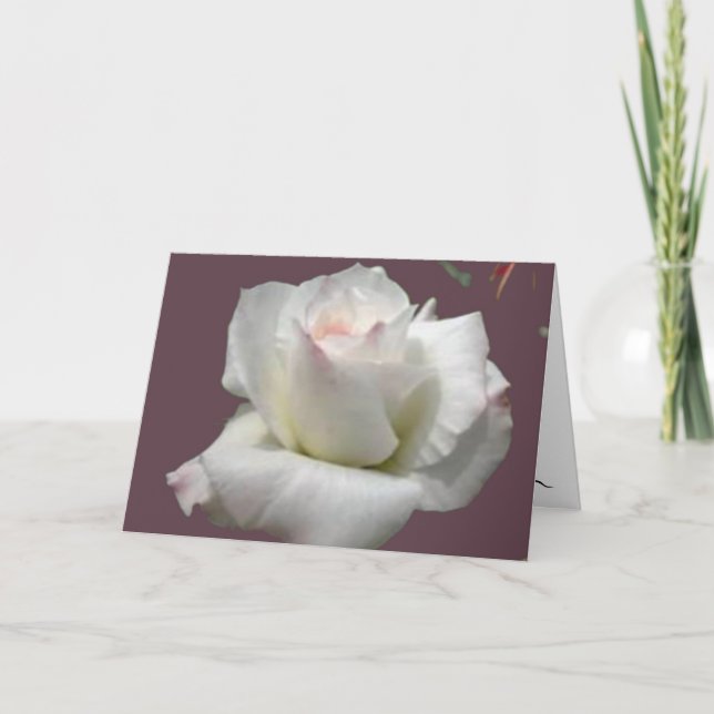 White Passion Rose Greeting Card (Front)