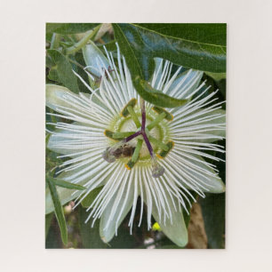 White Passionflower with Bee, Oakland Jigsaw Puzzle