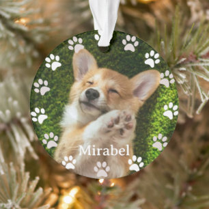 white Paw Prints Frame Custom Pet Photo & name  Ornament
