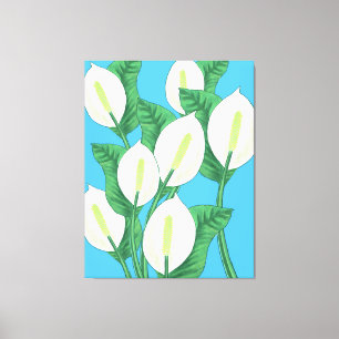 White peace lilies on pale blue background canvas print