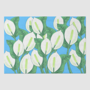White peace lilies on pale blue background  tissue paper