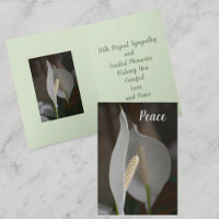 White Peace Lily Botanical Floral Sympathy