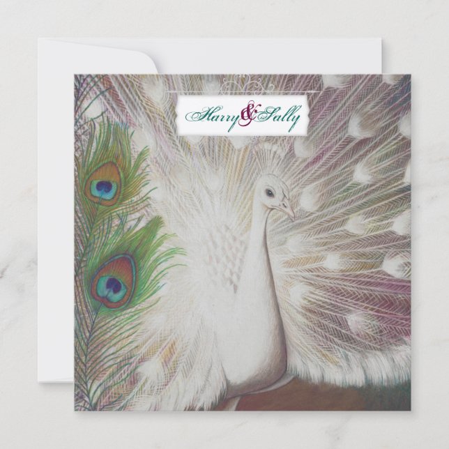 White Peacock and Feather Wedding Invitation (Front)