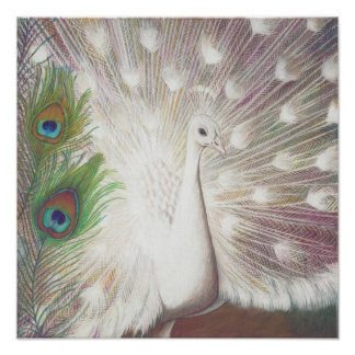 White Peacock and Green Peacock Feather art Print