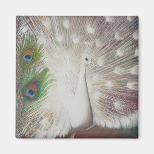 White Peacock and Green Peacock Feather art Print Magnet