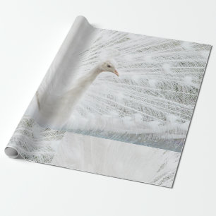 White Peacock beautiful feathers  Wrapping Paper