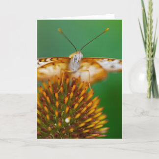 White Peacock Card
