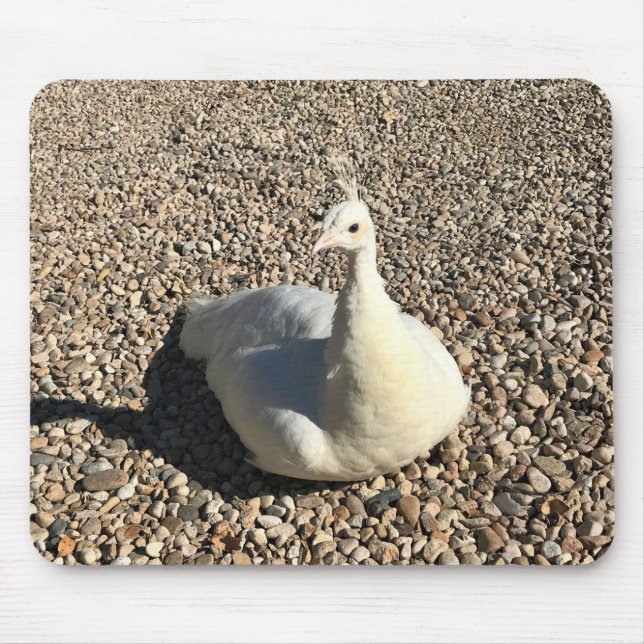 White Peacock, Idaho Mouse Pad (Front)