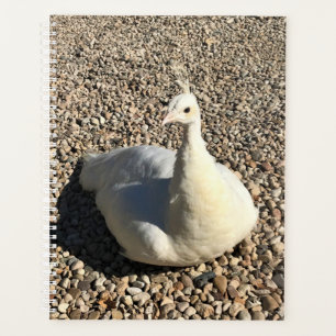 White Peacock, Idaho Planner